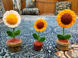 Chrocheted Flower Pot