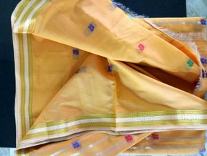 Gold Saree