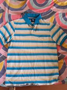 Striped Polo Shirt