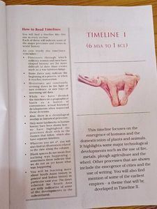 Class XI History Textbook