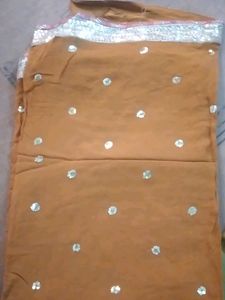 Brown Sari with Sequin Detail