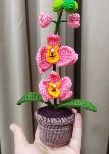 Crochet Orchid Plant