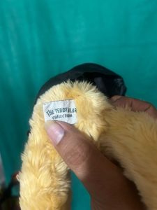 Graduation Bear Plush