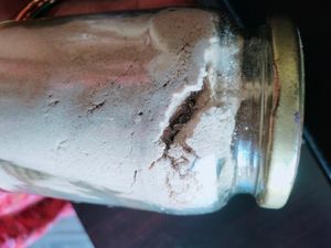 Home Made Cerelac