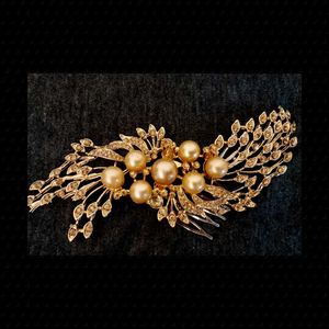 Golden Hair Accessory
