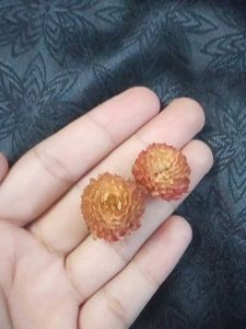Fake Dried Flower Bundle