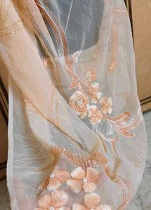 Peach Embellished Saree