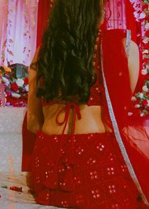Mirror Work Lehenga