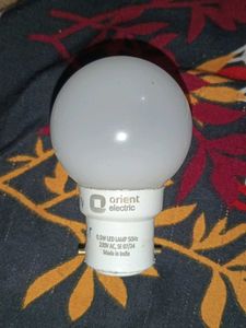 Bulb 💡 Of Orient