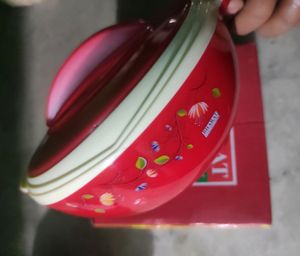 New Premium Insulated Casserole