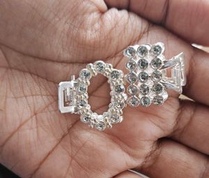 2 Sparkling Hair Clips