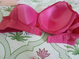 MIL FUSCHIA LA-BRARY Fab-Bee-C Bra - 36C