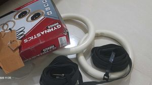 Gymnastic Rings with Straps
