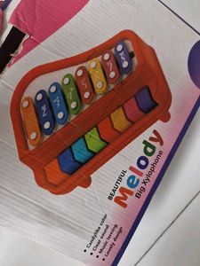 Big Xylophone