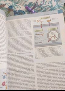 Robbins- 10 Th Edition Both Volume