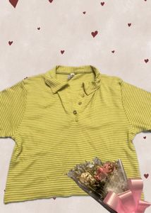 Polo Tshirt Collered Neck
