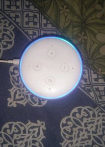 Echo Dot (White)