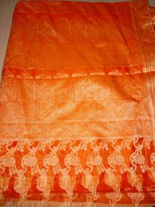 🧡😻 Orange Saree