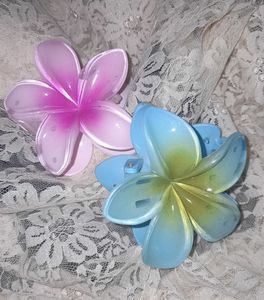 Set Of 2 Flower Claw Clips, Aesthetic