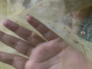 stone embellished embroidery net customised saree