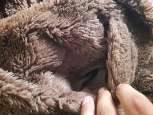 Viral Zara Faux Fur Brown Coat