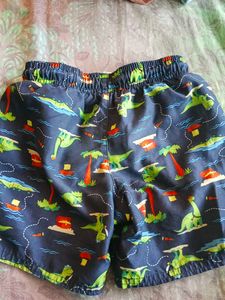 Cute Dino Swim Shorts