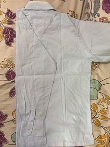 Light Blue Lombardi Shirt