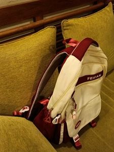 Korean Backbag