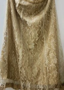 Elegant Gold Lace Skirt