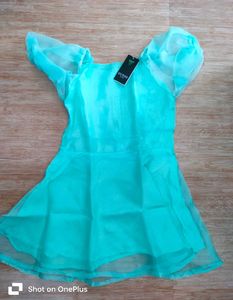 Women Organza Mini Dress