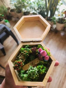 Wooden Box With Miniature World (Handmade)