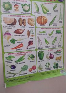 8 Big Kindergarten Charts