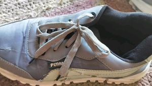 Men Shoes And Footwear