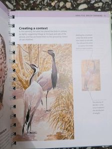 Water Colours Artists Bible