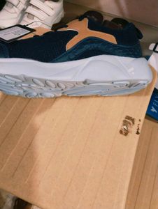 Sport Shoes