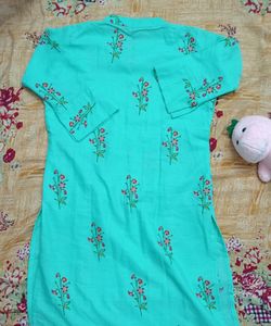 Collar Neck Kurthi With Zip