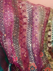 Multi Colour Saree
