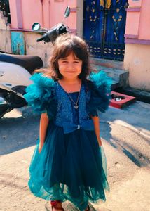 Smooth Net Princess frock