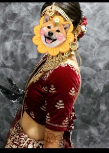 Red &amp; Gold Lengha