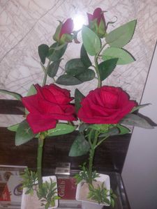 2 Piece- Artificial ROSE 🌹 PLANTS