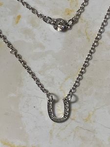 Silver Layered Horseshoe Necklace