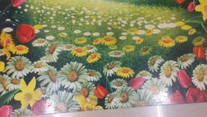 Foldable Table New Unused