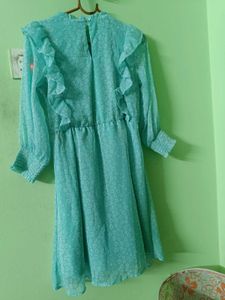 Ruffle Trim Mini Dress