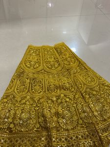 Gorgeous Gold Embroidered Skirt