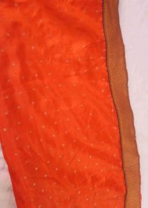 Orange Saree with Embellishments