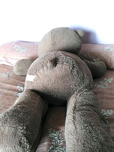 Big Broun Teddy