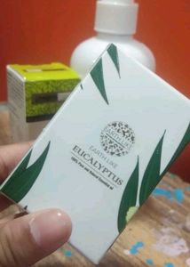 Earth Like Eucalyptus Hair Oil