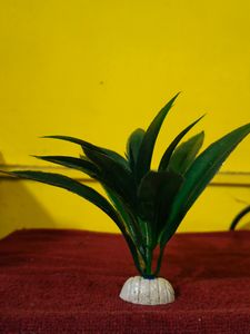 AQUARIUM TREES