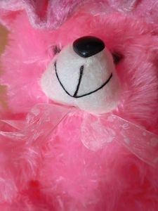 Pink Teddy Bear with Hat