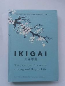 Mindset + Ikigai